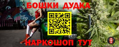 индика Кандалакша