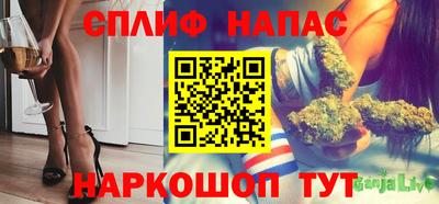 индика Кандалакша