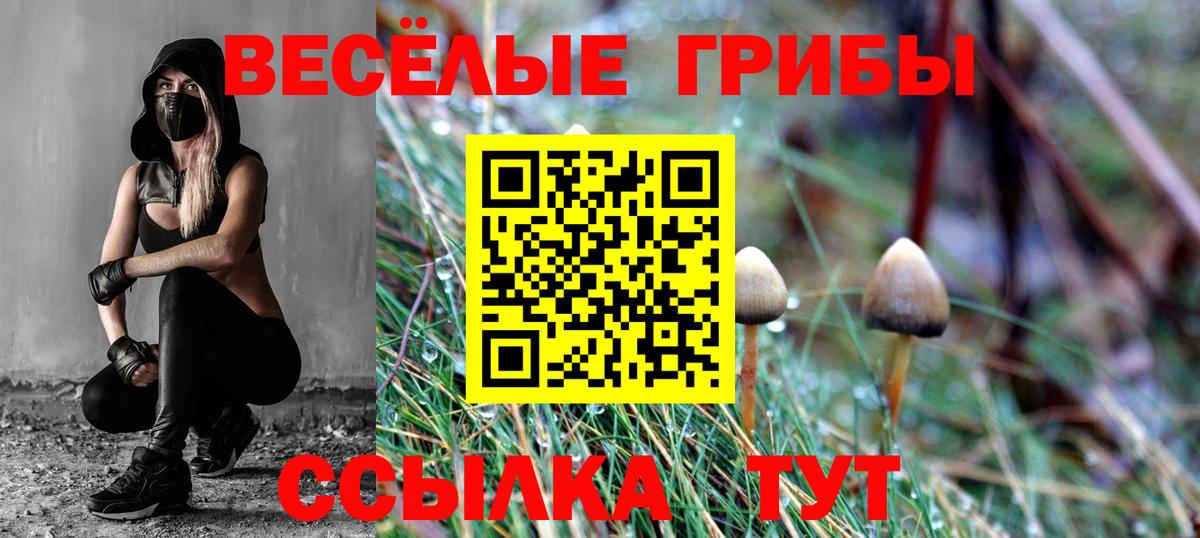 Псилоцибиновые грибы MAGIC MUSHROOMS  Вход с VPN  Кизилюрт 